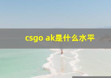 csgo ak是什么水平